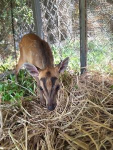 ภาพ: อุทยานแห่งชาติรามคำแหง จ.สุโขทัย