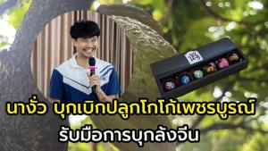 ต้นน้ำนางั่ว บุกเบิกปลูกโกโก้ จ.เพชรบูรณ์ หวั่นล้งจีนทุ่มตลาดกระทบเกษตรกรปลูกโกโก้ ไทย