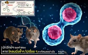 นักวิทย์ฯ เผยคำตอบ หากโคลนนิ่งซ้ำๆ ไปเรื่อยๆ จะเกิดผลอย่างไร