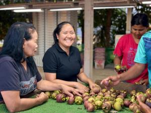 ชาวสวนมังคุดชุมพร ยิ้มไม่หุบหลังสวนราคาพุ่งกิโลกรัมกว่า 100 บาท