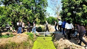 สมุทรสงครามเร่งวิจัย “ลิ้นจี่ค่อม” ใช้วิทยาศาสตร์ไขปริศนาดอกร่วง หวังเพิ่มผลผลิต–ยกระดับรายได้เกษตรกร