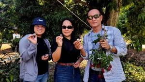 สมุทรสงครามเร่งวิจัย “ลิ้นจี่ค่อม” ใช้วิทยาศาสตร์ไขปริศนาดอกร่วง หวังเพิ่มผลผลิต–ยกระดับรายได้เกษตรกร
