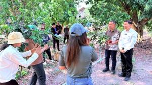 สมุทรสงครามเร่งวิจัย “ลิ้นจี่ค่อม” ใช้วิทยาศาสตร์ไขปริศนาดอกร่วง หวังเพิ่มผลผลิต–ยกระดับรายได้เกษตรกร
