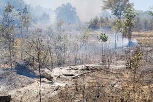 เร่งฉีดน้ำสกัดเพลิงลุกไหม้ที่ดินรกร้างเอกชนกว่า 100 ไร่ ป้องกันลุกลามถึงบ้านเรือนประชาชนและโรงแรม