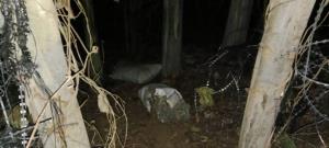 ขนกันฉ่ำ! ของหนีภาษีจากเขมรเข้าชายแดนจันทบุรี เหิมหนักถึงขั้นตัดรั้วลวดหนามนำของวางให้มดงานรับต่อ