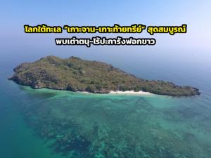 ภาพจาก กรมอุทยานแห่งชาติสัตว์ป่าและพันธุ์พืช 