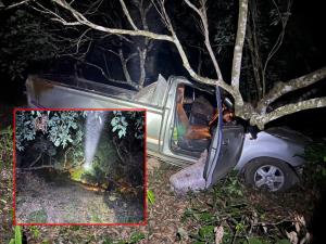 รอดหวุดหวิด! กระบะลงดอยพะเยาพุ่งตกเขาลึกกว่า 50 เมตร เจ็บ 2