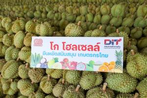 “โก โฮลเซลล์” รับซื้อเพิ่ม 41%  เร่งช่วยชาวสวนดันผลไม้สู่ตลาด