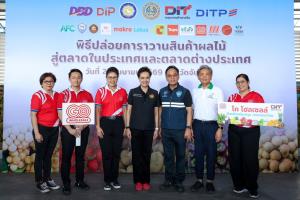 “โก โฮลเซลล์” รับซื้อเพิ่ม 41%  เร่งช่วยชาวสวนดันผลไม้สู่ตลาด
