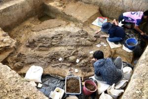 พบโครงกระดูกมนุษย์โบราณโครงที่ 7 อายุพันปี ฝังพร้อมกลองมโหระทึก-เครื่องทอง กลางทุ่งนาเพชรบุรี