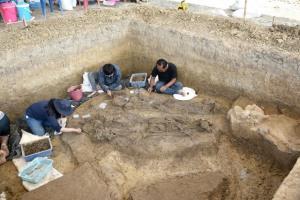 พบโครงกระดูกมนุษย์โบราณโครงที่ 7 อายุพันปี ฝังพร้อมกลองมโหระทึก-เครื่องทอง กลางทุ่งนาเพชรบุรี