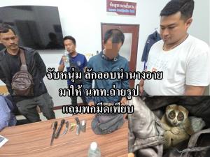บุกจับกุมหนุ่มลักลอบ นำ “นางอาย”  ตระเวนให้นักท่องเที่ยวถ่ายรูป พกมีด ขัดขืนการจับกุม พยายามทำร้ายเจ้าหน้าที่