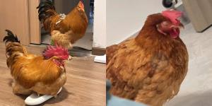 (ภาพจาก : สื่อจีน)