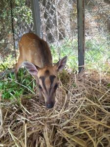 ภาพจาก อช.รามคำแหง