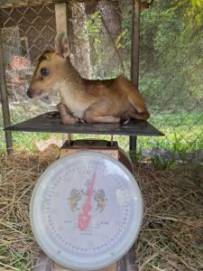 ภาพจาก อช.รามคำแหง