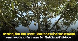 ดราม่าทุเรียน 100 บาทพ่นพิษ! ชาวสวนโวย รมว.พาณิชย์ แทรกแซงตลาดทำราคาตก ซัด "ผิดก็ต้องแก้ ไม่ใช่อวย"