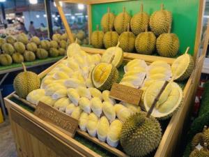 ภาพจากวัดท่าไม้