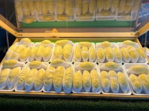 ภาพจากวัดท่าไม้