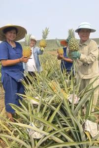 ภาพจากวัดท่าไม้