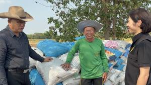 ชาวนาอ่างทองพลิกนาบางส่วนปลูกผักชี–ถั่วแระ สู้ต้นทุนข้าวพุ่ง สร้างรายได้ทางเลือก