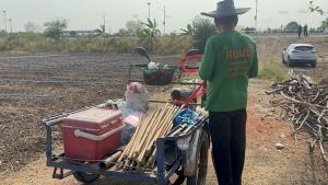 ชาวนาอ่างทองพลิกนาบางส่วนปลูกผักชี–ถั่วแระ สู้ต้นทุนข้าวพุ่ง สร้างรายได้ทางเลือก