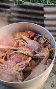 “ลูกหมี รัศมี” ลั่น “ปู มัณฑนา” โง่เขลาเบาปัญญาเชื่อคนสุ่มสี่สุ่มห้า เป็นอันตรายกับชีวิตมาก ห่วงไม่มีเงินมาสู้คดี ทุกอย่างจะไม่เกินสิงหาคม