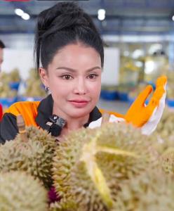 “พิมรี่พาย” ลมแทบจับคนดูไลฟ์ขายทุเรียน 7 แสน หลั่งน้ำตารับเหนื่อยฉิxหาย ขาดทุน 10 กว่าล้าน แต่อยากทำเพื่อเกษตรกรไทย