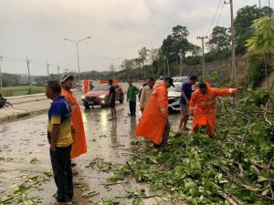 ฤทธิ์พายุถล่มหวิดสลดหมู่! ซัดต้นไม้ริม ทล.118 ทับเก๋ง-ถนนแม่จันลื่นไถล หกล้อ ทล.แม่สายเทกระจาดคนเจ็บระนาว