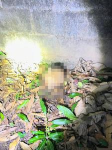 สยอง! ชายป่วยจิตเวชคลั่งปีนเสาไฟแรงสูงถูกช็อตหัวขาดไฟลุกท่วม