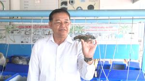 “ธนาคารปูม้าคลองเทียน” ใช้ "เหยื่อปลาหมอคางดำ" ช่วยขยายพันธุ์