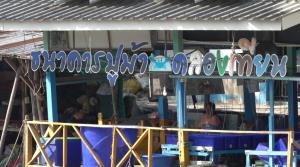 “ธนาคารปูม้าคลองเทียน” ใช้ "เหยื่อปลาหมอคางดำ" ช่วยขยายพันธุ์