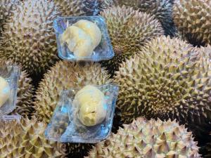 ตลาดบริโภค 'ทุเรียน' ในจีนโตต่อเนื่อง กระตุ้นแหล่งผลิตในอาเซียนปรับแผนแข่งขัน