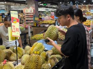 ตลาดบริโภค 'ทุเรียน' ในจีนโตต่อเนื่อง กระตุ้นแหล่งผลิตในอาเซียนปรับแผนแข่งขัน