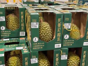 ตลาดบริโภค 'ทุเรียน' ในจีนโตต่อเนื่อง กระตุ้นแหล่งผลิตในอาเซียนปรับแผนแข่งขัน