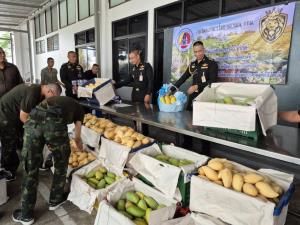 กอ.รมน.ภาค 1 ผนึกเอกชนรับซื้อผลผลิตเกษตร ช่วยพยุงราคาหลังต้นทุนพุ่ง ส่งต่อกองทัพเสริมขวัญกำลังใจทหาร