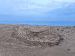 เฮ ! แม่ เต่ามะเฟืองขึ้น วางไข่นอกฤดู 98 ฟอง อุทยานฯ ย้ายรังไปอยู่ในที่ปลอดภัย