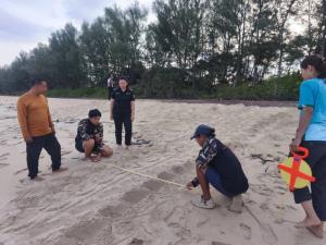 เฮ ! แม่ เต่ามะเฟืองขึ้น วางไข่นอกฤดู 98 ฟอง อุทยานฯ ย้ายรังไปอยู่ในที่ปลอดภัย