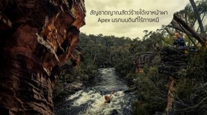 สัญชาตญาณสัตว์ร้ายใต้เงาหน้าผา Apex นรกบนดินที่ไร้ทางหนี