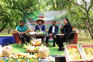 เกษตร จ.กาฬสินธุ์พาสื่อช่วย "มะม่วงมหาชนก" กระตุ้นยอดขาย มุ่งสู่สินค้า GI