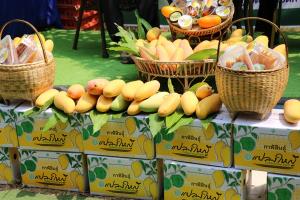 เกษตร จ.กาฬสินธุ์พาสื่อช่วย "มะม่วงมหาชนก" กระตุ้นยอดขาย มุ่งสู่สินค้า GI