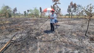 (คลิป)เจ้าของเข่าทรุด! ชาวนากงไกรลาศเผาฟางลามไหม้สวนผสมวอดซ้ำ 5 ไร่ เสียหายกว่า 1 แสนบาท