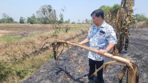 (คลิป)เจ้าของเข่าทรุด! ชาวนากงไกรลาศเผาฟางลามไหม้สวนผสมวอดซ้ำ 5 ไร่ เสียหายกว่า 1 แสนบาท