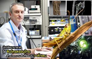 นักวิจัยนานาชาติใช้ซินโครตรอนไทย สำรวจความลับที่ซ่อนในขาตั๊กแตน