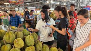 (คลิป)สวนกระแสดรามาลูกละ100! แม่ค้าทุเรียนโคราชจัดหนักขายลูกละ 19 บาท ย้ำไม่กระทบตลาด-ทุกลูกมีประกัน