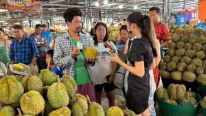 (คลิป)สวนกระแสดรามาลูกละ100! แม่ค้าทุเรียนโคราชจัดหนักขายลูกละ 19 บาท ย้ำไม่กระทบตลาด-ทุกลูกมีประกัน