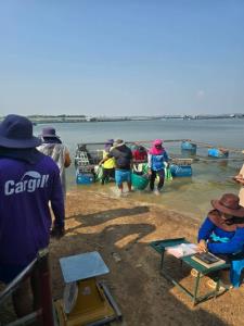 น้ำมันแพงกระทบเลี้ยงปลากระชังเขื่อนลำปาว ต้นทุนพุ่ง/ยอดขายตก จี้รัฐหนุนพลังงานสะอาดแก้ปัญหา