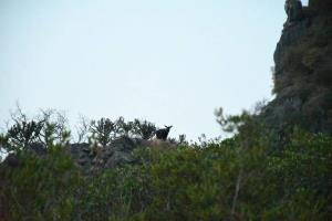 ภาพจากกรมอุทยานฯ