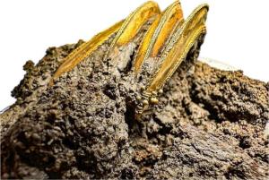 พบ “กำไลทองคำ” สวมโครงกระดูกโบราณ พร้อมกลองมโหระทึกที่เพชรบุรี คาดอายุ 2,000 ปี ล่าสุดพบโครงที่ 8