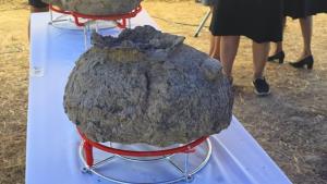 พบ “กำไลทองคำ” สวมโครงกระดูกโบราณ พร้อมกลองมโหระทึกที่เพชรบุรี คาดอายุ 2,000 ปี ล่าสุดพบโครงที่ 8