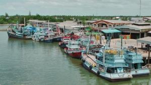 จ่อเดือดทั้งอ่าว! ประมงแม่กลองนัดรวมพลบุก 3 กระทรวง จี้แก้แรงงาน-น้ำมัน-ราคาสัตว์น้ำ ก่อนระบบพังทั้งห่วงโซ่